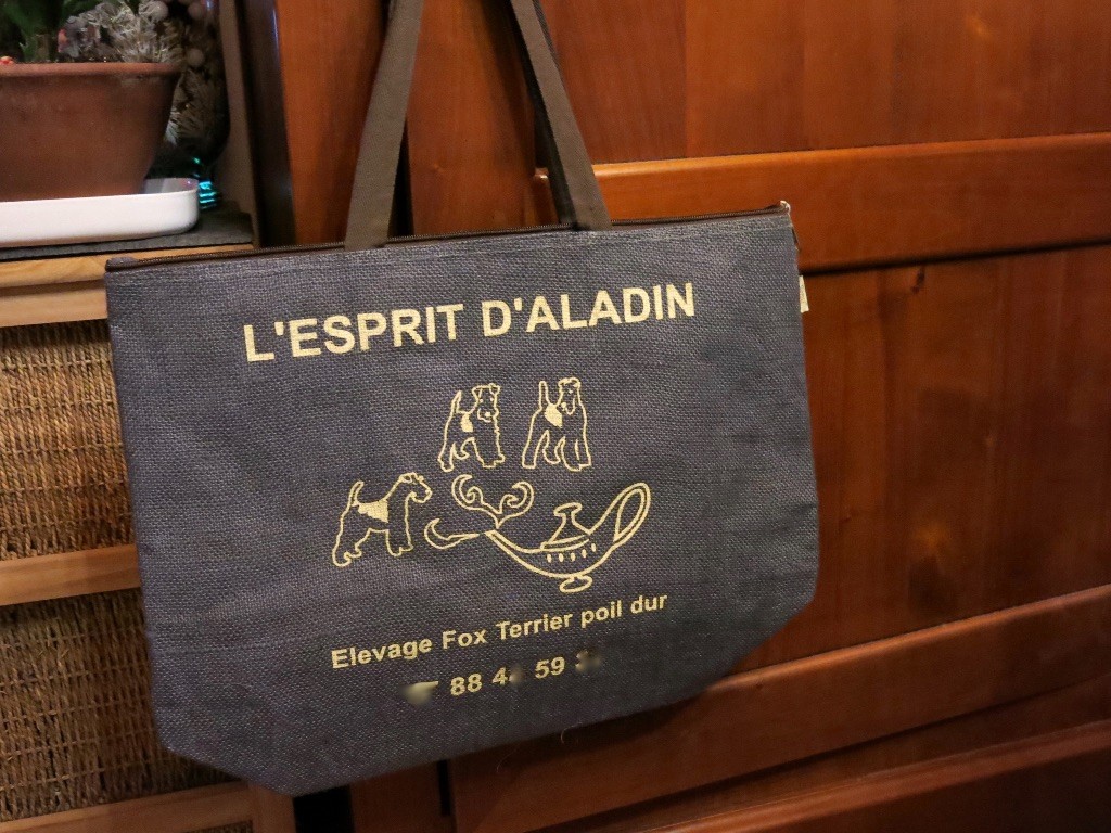 De L'esprit D'Aladin - Un joli sac ....