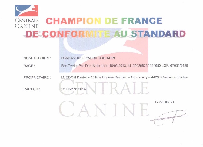 De L'esprit D'Aladin - Champion de France CACS 2