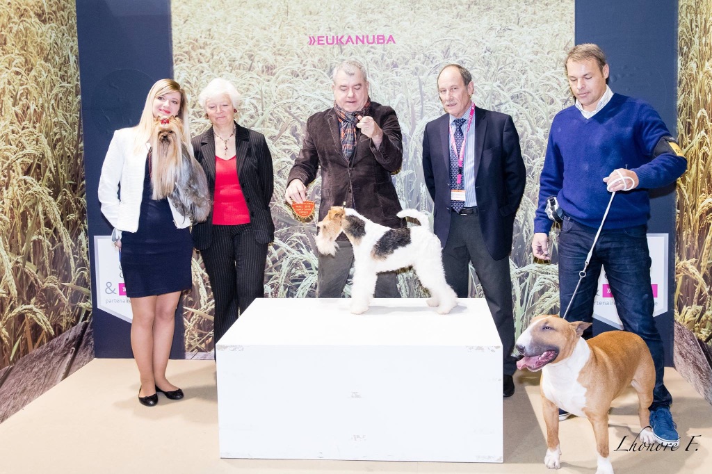 De L'esprit D'Aladin - Salon de l'Agriculture Concours Agricole