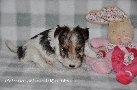 O'ZéeO'Zée Joséphine